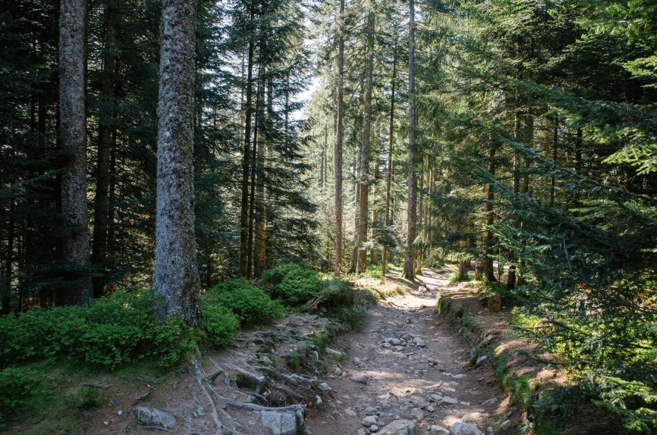Le Refuge Du Cerf Villa Льо Толи Екстериор снимка